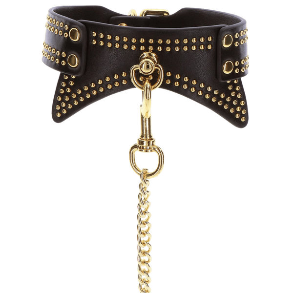 Studded Collar and Leash