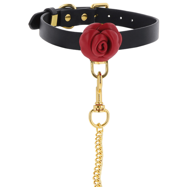 Wild Roses Collar & Leash